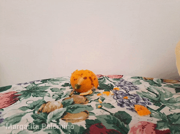 InShot_20230119_113929438.gif