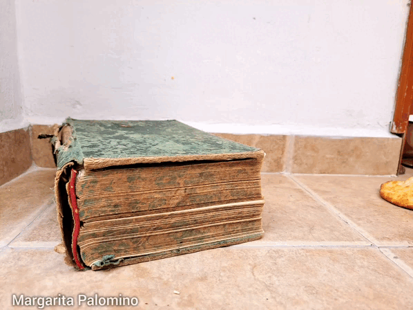 1000031521.gif