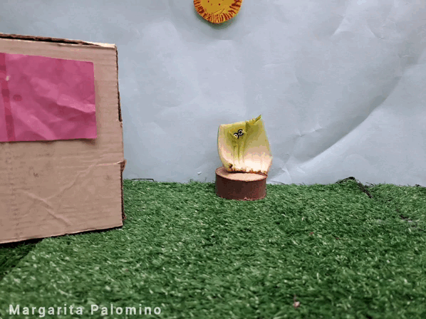 1000010929.gif