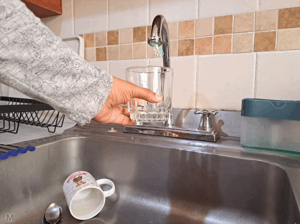1000020518.gif