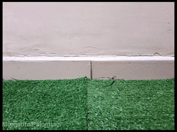 InShot_20230623_223708499.gif