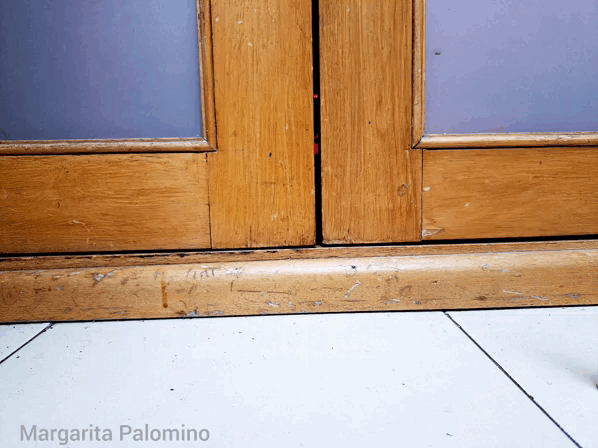 InShot_20231207_175235695 (1).gif