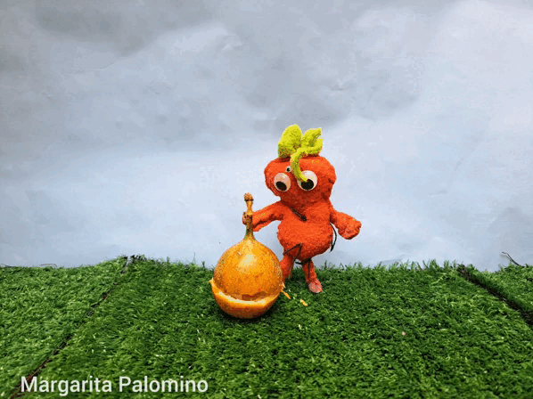 InShot_20240204_130418231.gif