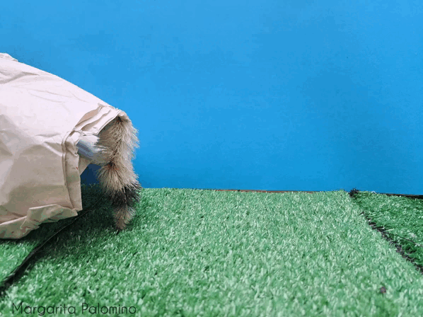 1000024085.gif