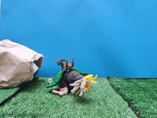 1000024086.gif