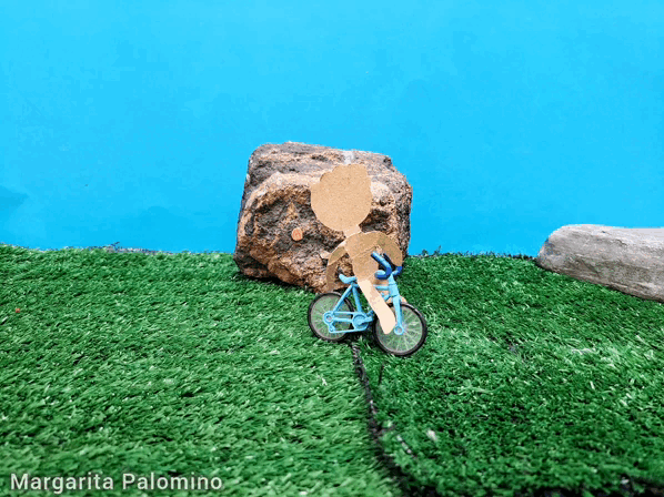 1000014725.gif