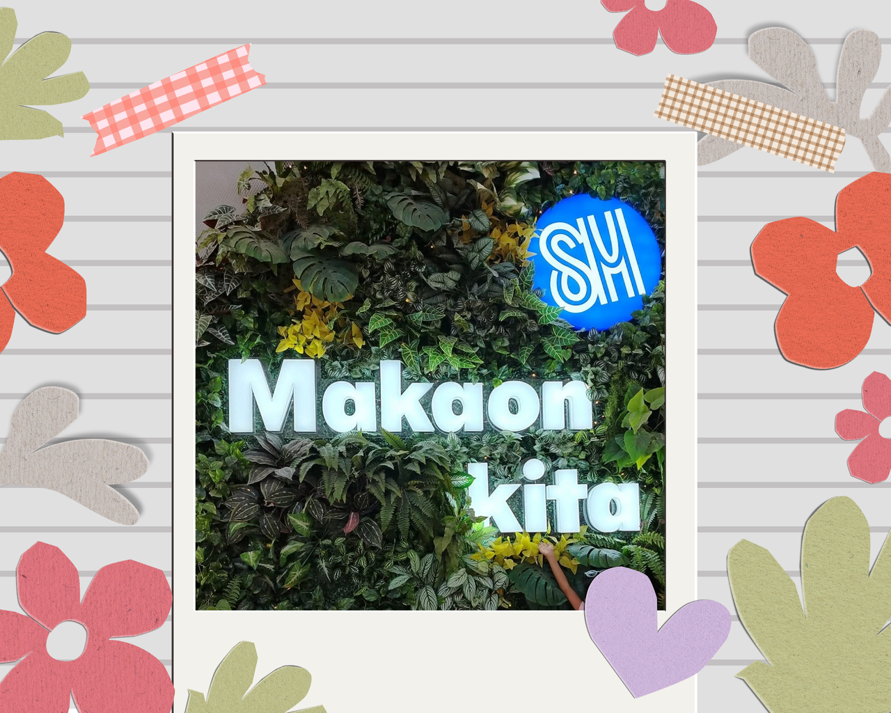 https://files.peakd.com/file/peakd-hive/maryjoy120422/48YdMCqSYJqPL4z5BB2r9dUxTcovmnCUcjEibsAoUTKJPAfGFX23db8kJj8UkSrNgF.png