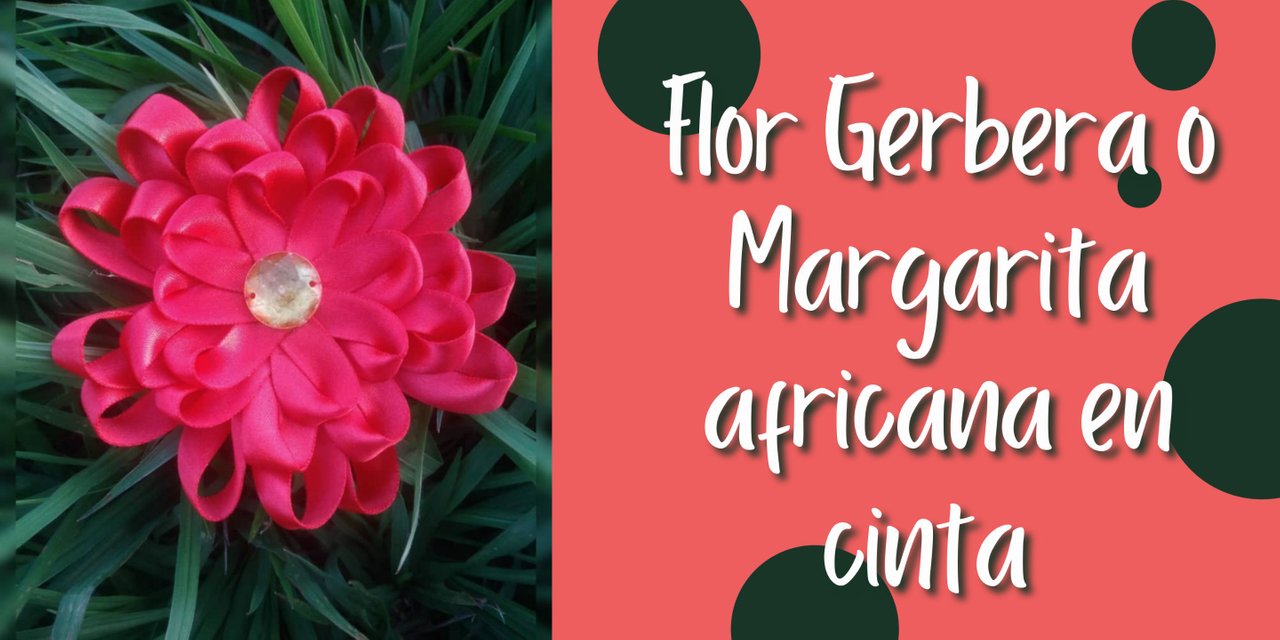 ESO-ENG) ?Flor gerbera o Margarita africana?⇌ Gerbera flower or African  Daisy? | PeakD