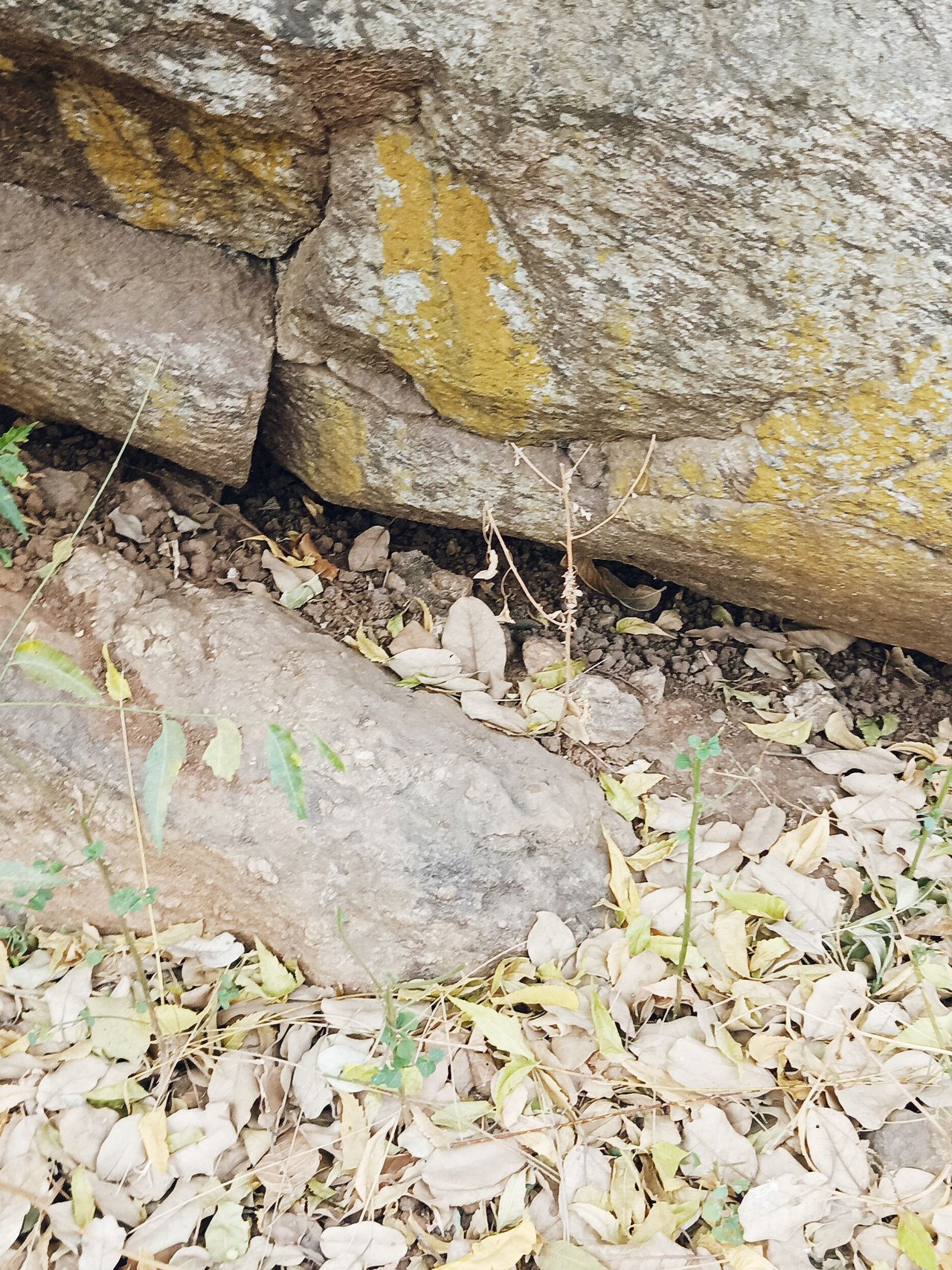 The ROCKY Experience In Agriculture As Part Of Learning Theoretically In Physical. Ways To Improve Natural Knowledge Through Hiking To The Top Rocks 🪨🪨🪨