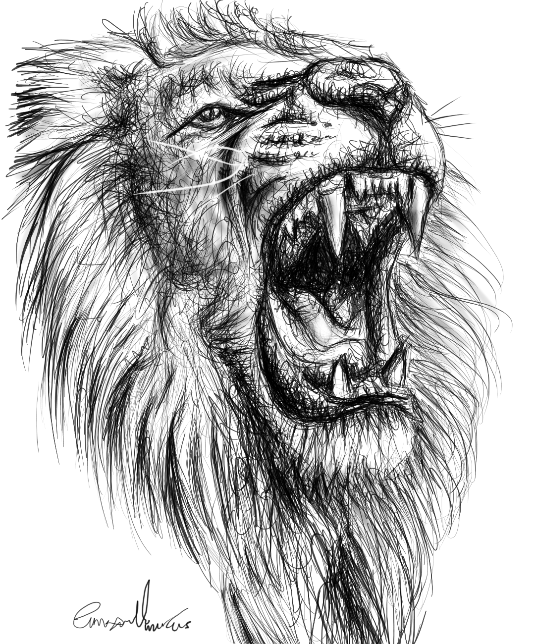 Roaring Lion drawing easy || How to draw A Lion drawing easy - YouTube-saigonsouth.com.vn