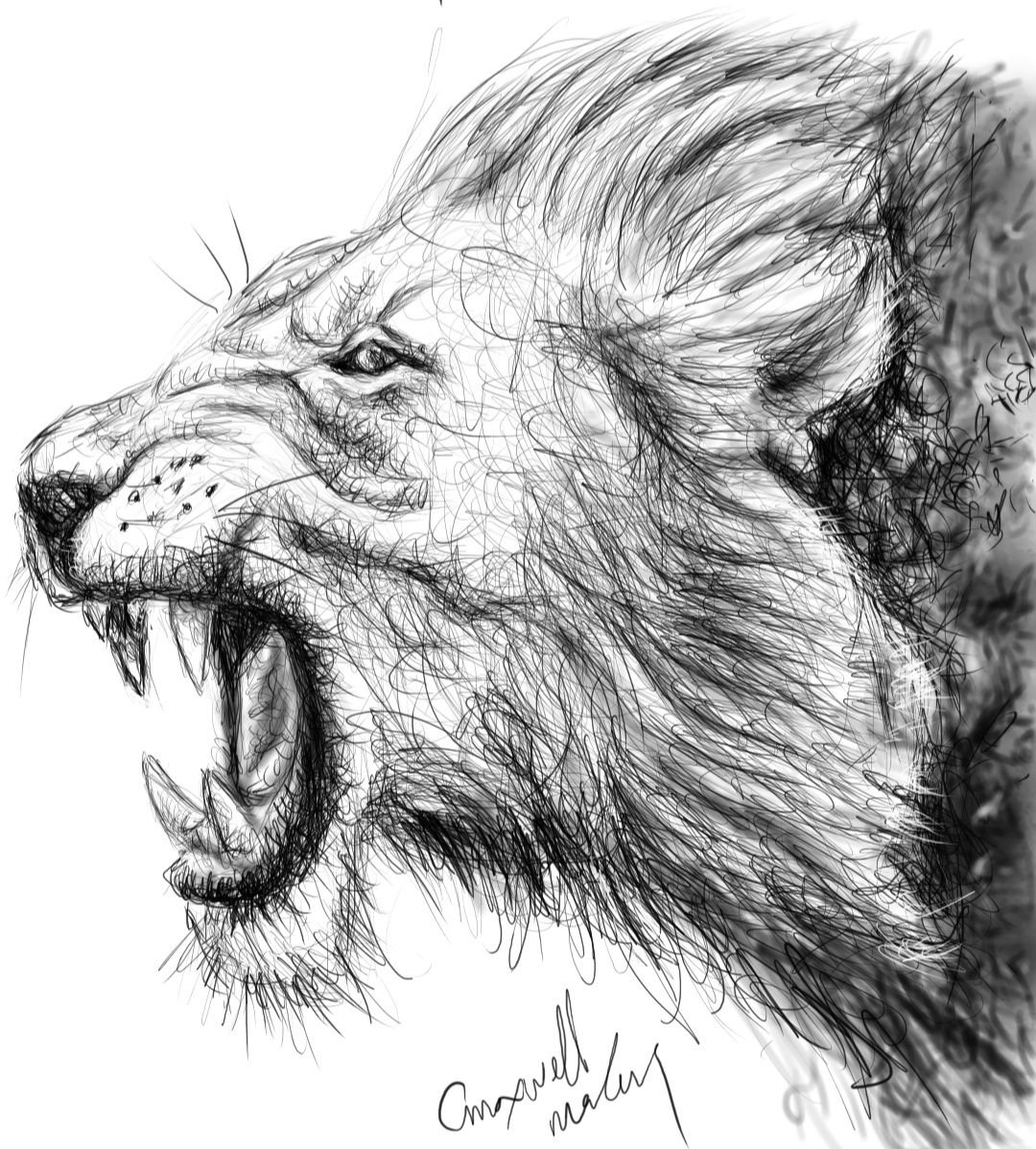 Poss Pen And Ink Lion Head Drawing By Kramer 1975
