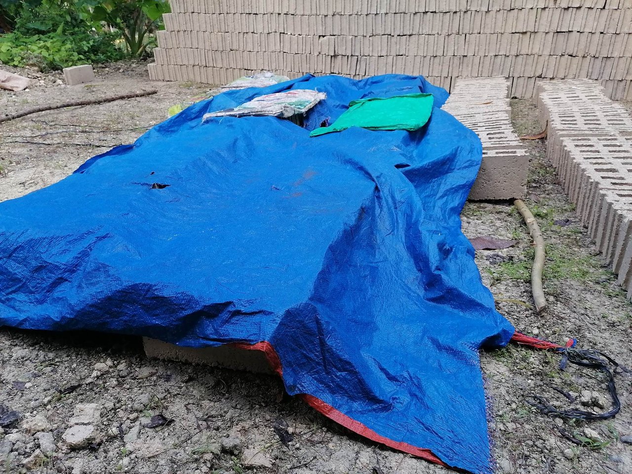 https://files.peakd.com/file/peakd-hive/melit79/Eou7ESt4wyySC38AdH5dfNeeZyCZr1TXM3UJcv71BEjXZBgU1PREYeaY1Acp4Kbn7Wa.jpg
