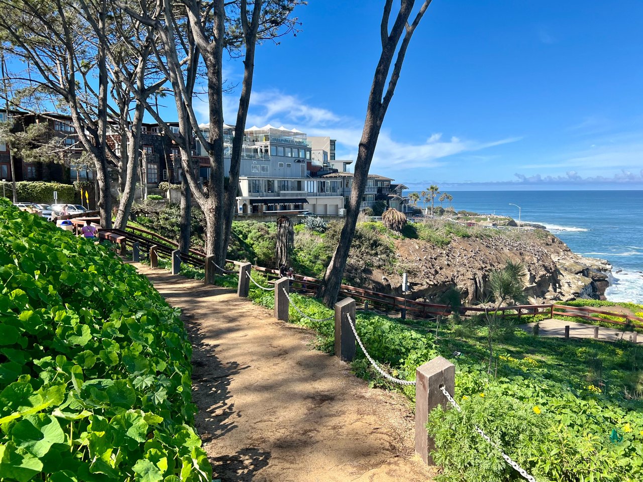 Coast Walk Trail - La Jolla, CA [EN/PT-BR] | PeakD