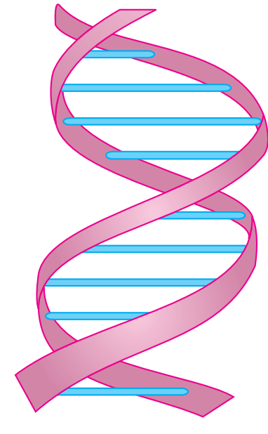 https://files.peakd.com/file/peakd-hive/mes/23wCbJ9oaw1XbNMBQW3npnf7yqbt4dTRgB9hnSdAGrSPxTEo4FUW9vm2P78Q9FFwVaCMi.png
