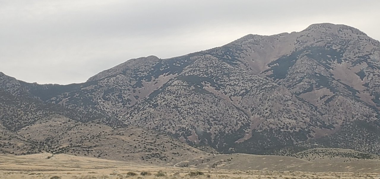 20200612_202517.jpg