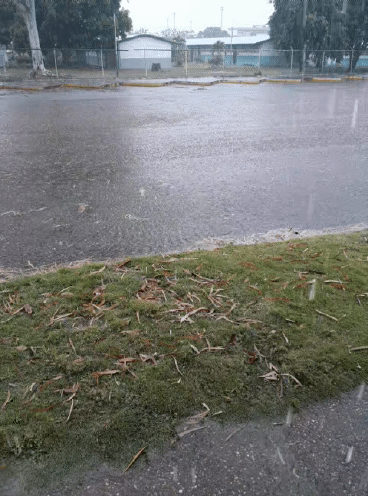 20211225_101352_1.gif