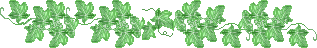 lin_ivy1.gif