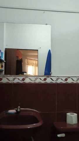 381da145-7644-4d02-b97c-17772cc24d80.gif
