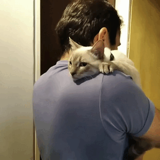 bebe ras.gif