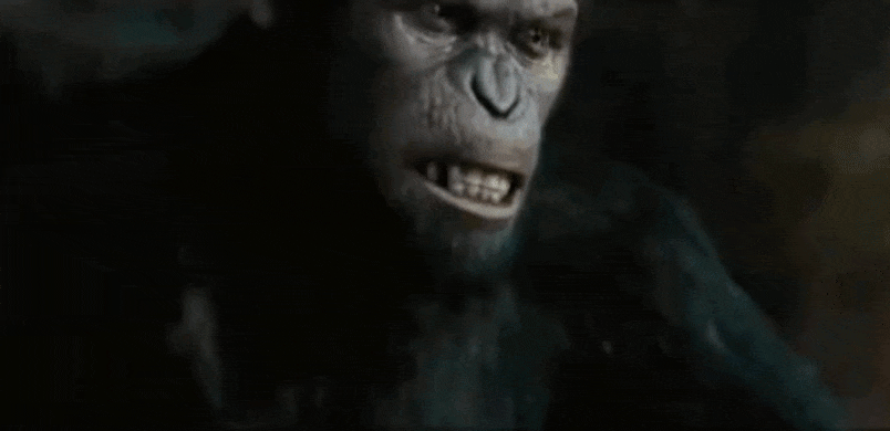 GIF_20250822_203736_495.gif