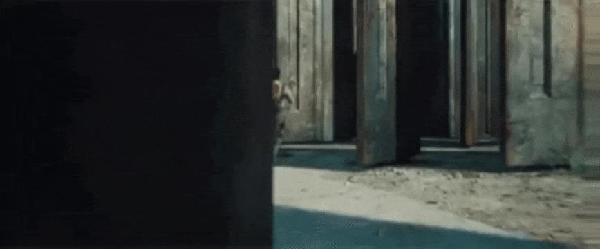 GIF_20250705_044210_988.gif