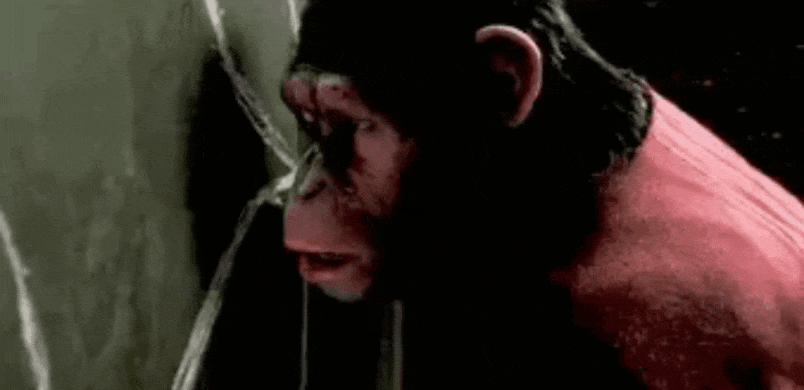 GIF_20250822_203629_582.gif