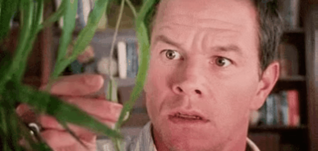 20250523_210933_0001.gif