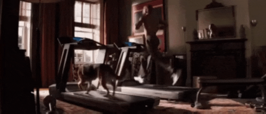 GIF_20250624_230354_586.gif