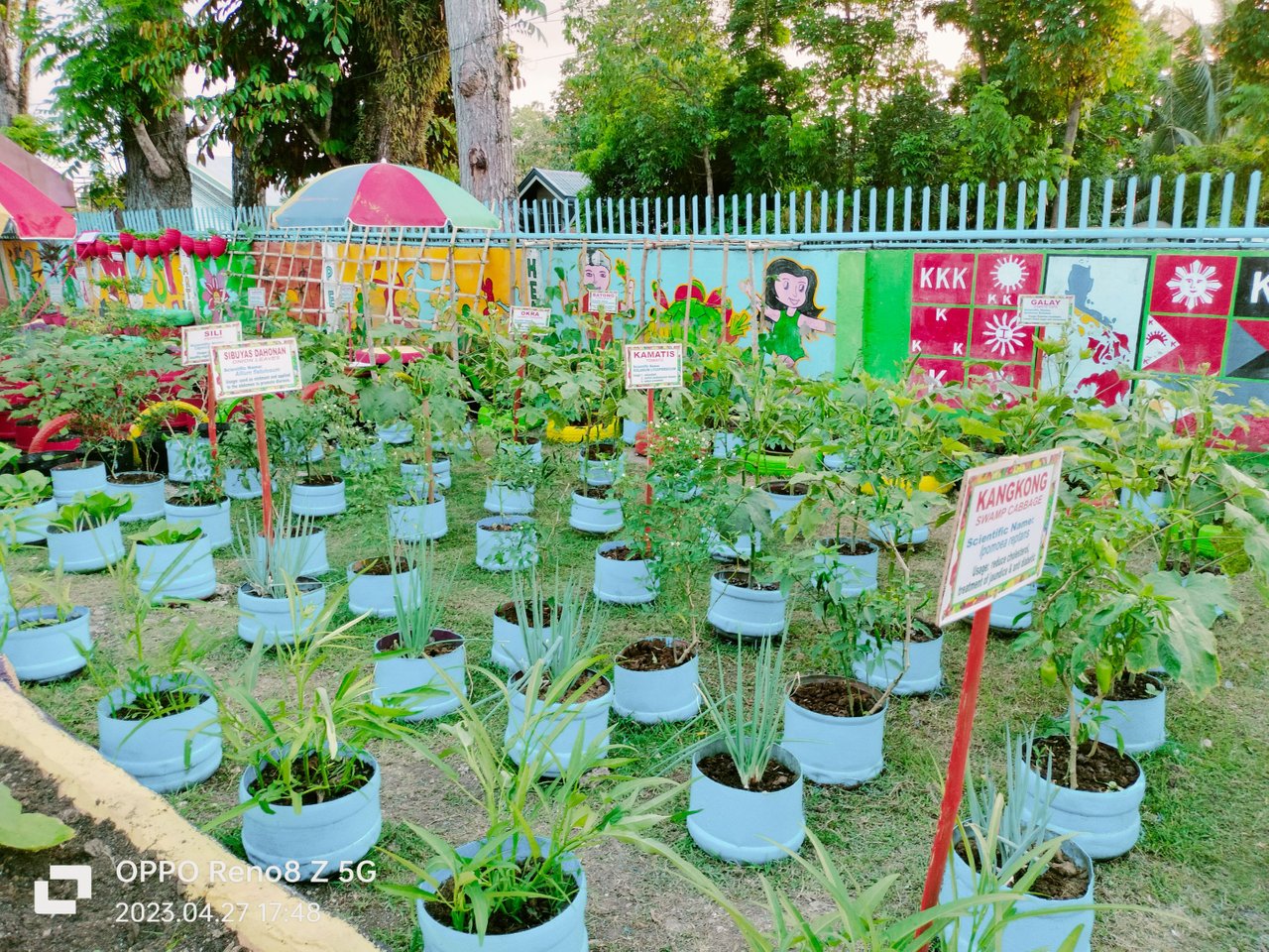 The School Based Gardening That Will