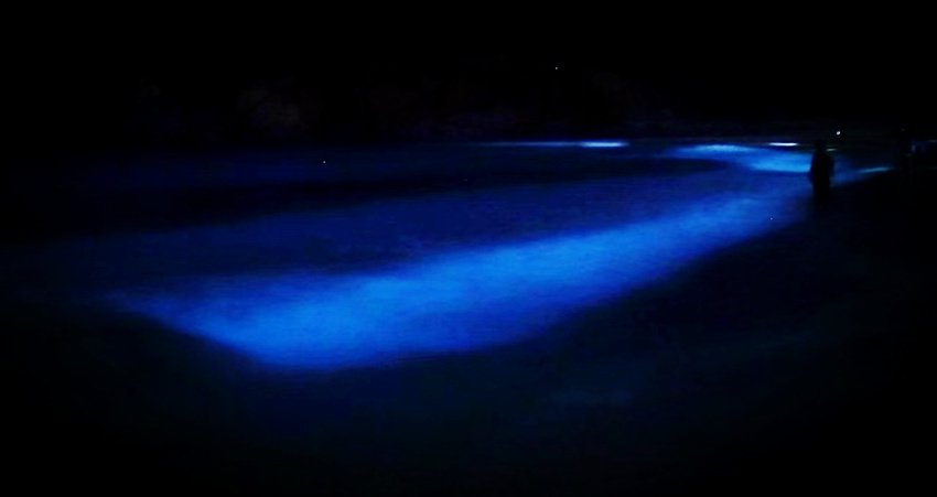 bluetear_副本.jpg