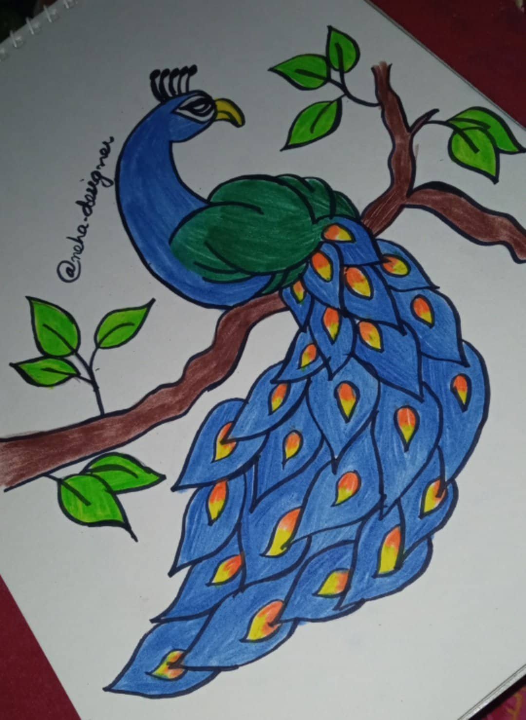 Peacock - Colored Pencil sketch by SylvanMist on DeviantArt