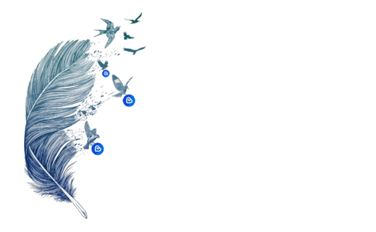 17559304511477972137756406642354.gif