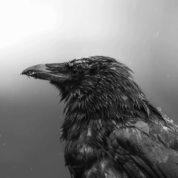 20221114_140851.gif