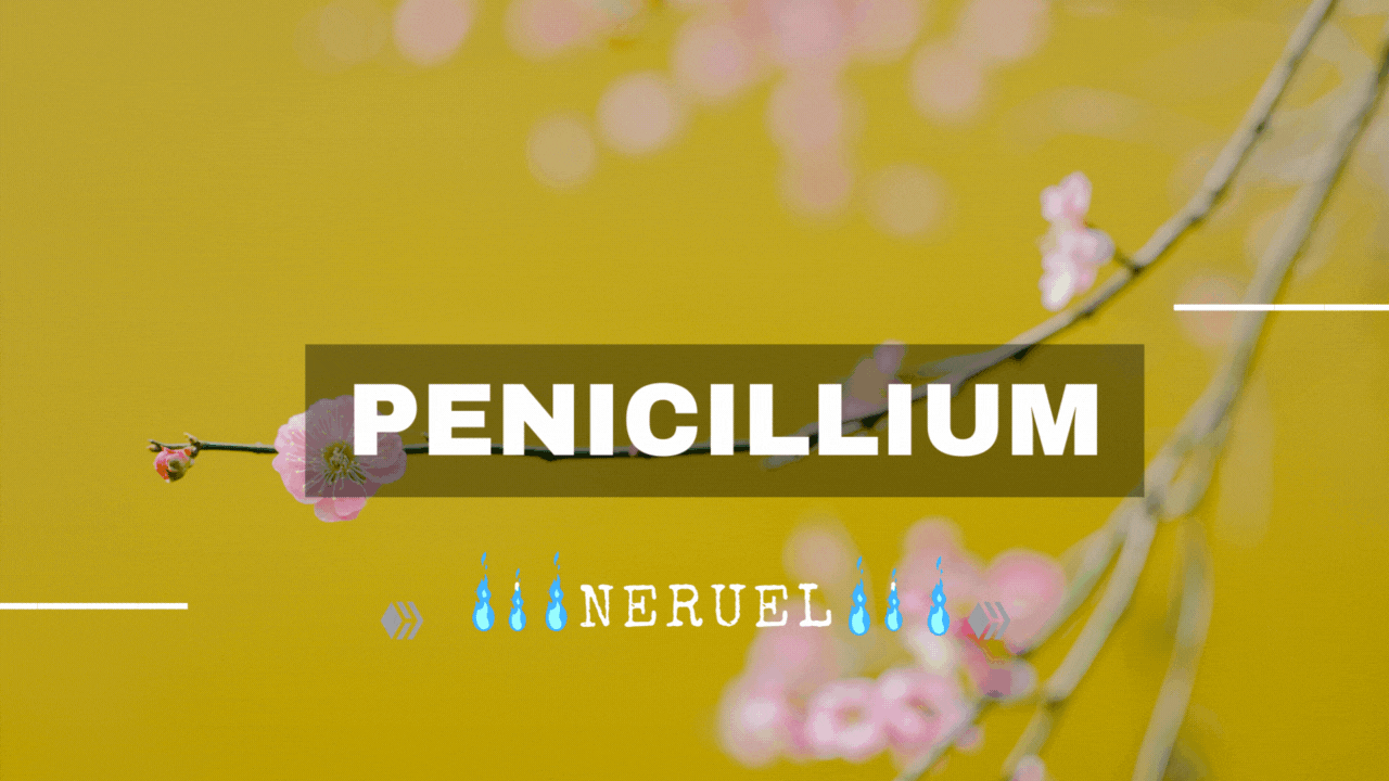 Penicillium.gif