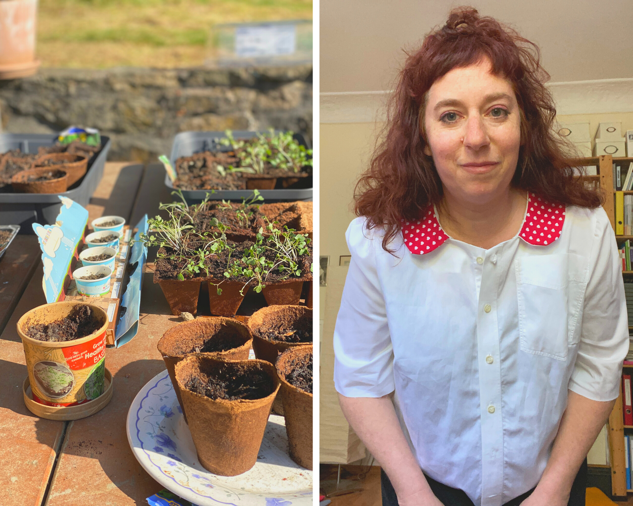 a photo of growing seedlings and an image of Simone wearing her handmade blouse with a red Peter Pan collar