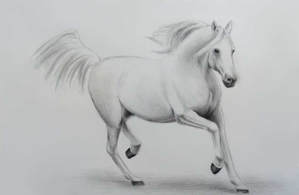 caballo  Horse art drawing, Horse drawings, Pencil art drawings