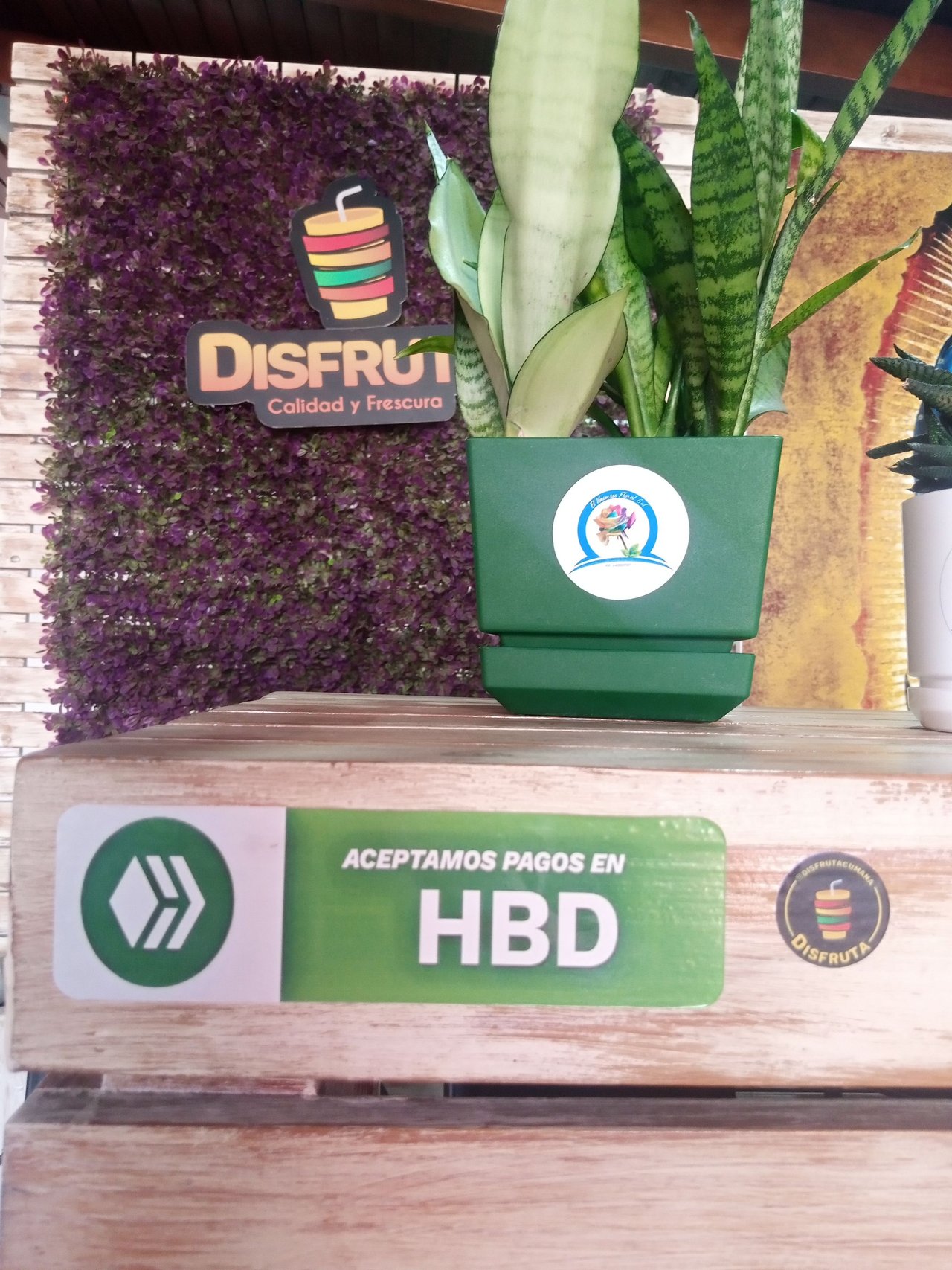 Paid breakfast with HBD and cryptoadoption at @disfrutacna😋 [Esp/Eng]