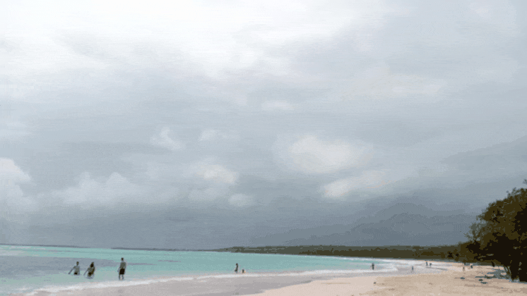 GIF_20250504_104015_644.gif
