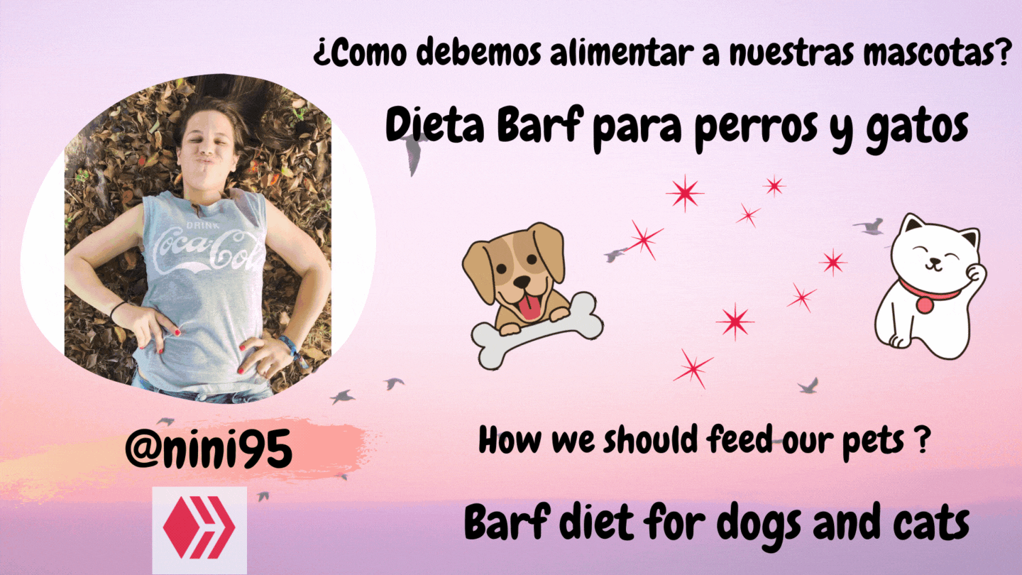 Como debemos alimentar a nuestras mascotas- Dieta Barf para perro y gatos.gif