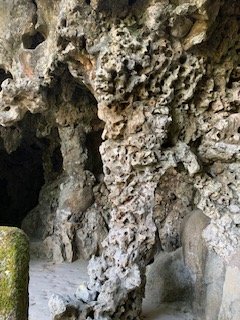 https://files.peakd.com/file/peakd-hive/notsure108/23uQrSFiuNRFHK45FAAx8zAPdNBjaXsdZucf1Nqg4HPN1P8iBUXbxMDbgmW4UuDskrGy1.jpg