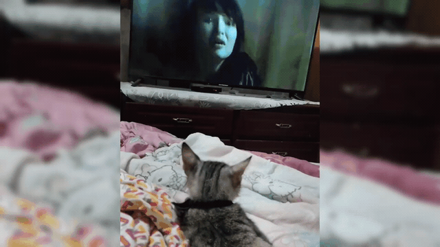 1000240723.gif