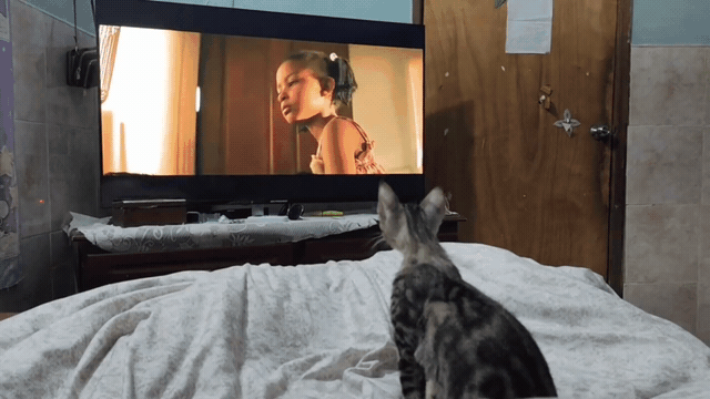 1000240727.gif