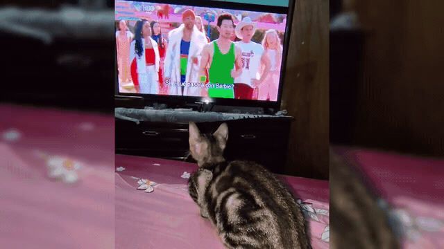 1000240735.gif