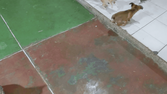 1000257826.gif