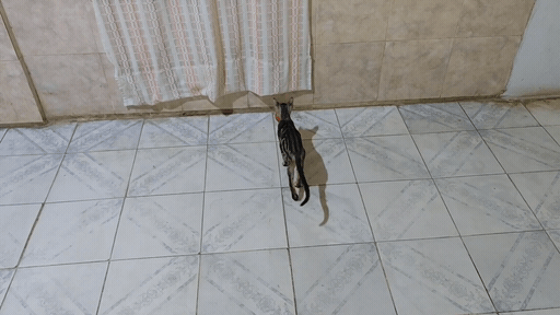 1000203574.gif