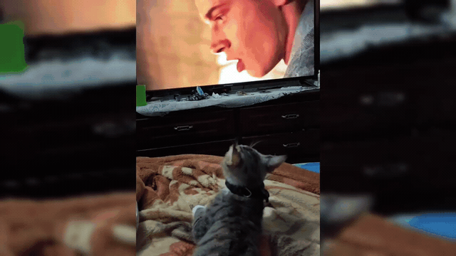 1000240725.gif