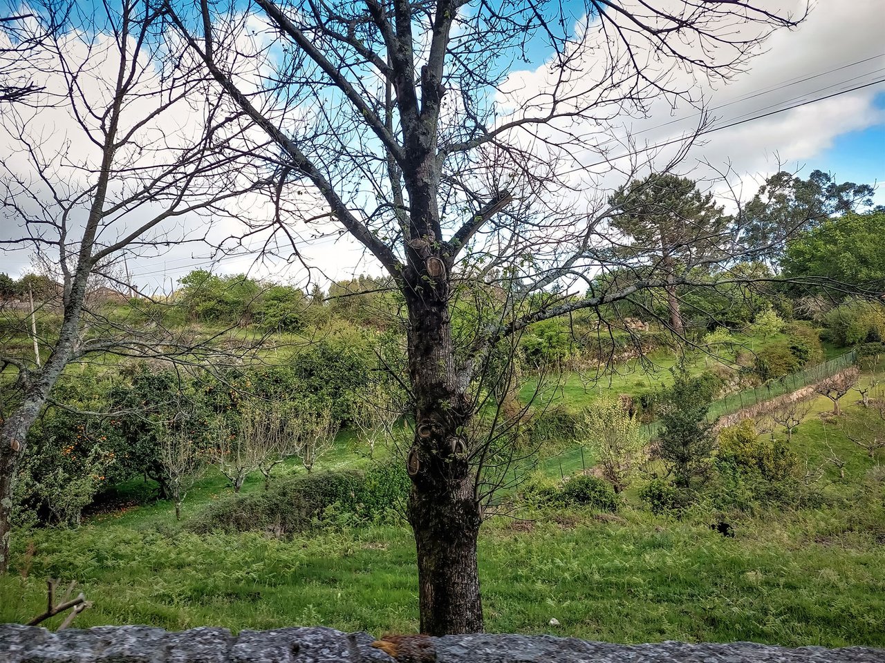 https://files.peakd.com/file/peakd-hive/onyfest/EqL7nuig1gFz5jg6edN6ynuyjj43Jp2b5rEuK1ZrHGKZuEJwm2P1zfJEbN4rLUDw94P.jpg