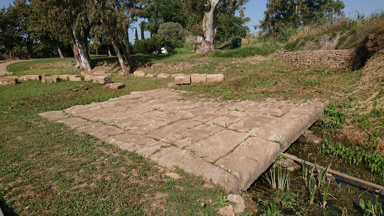 DSC_0086.JPG