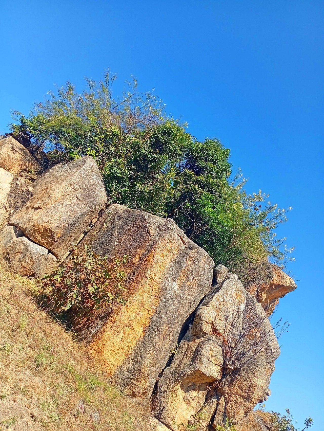 My Mountain Adventure