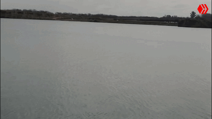 Gif 2.0.gif